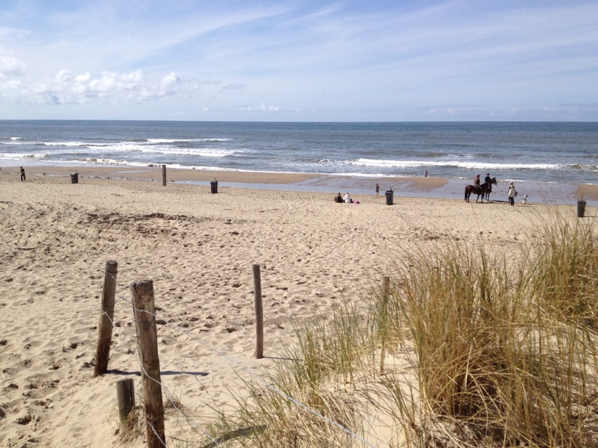 Strand im Frühjahr