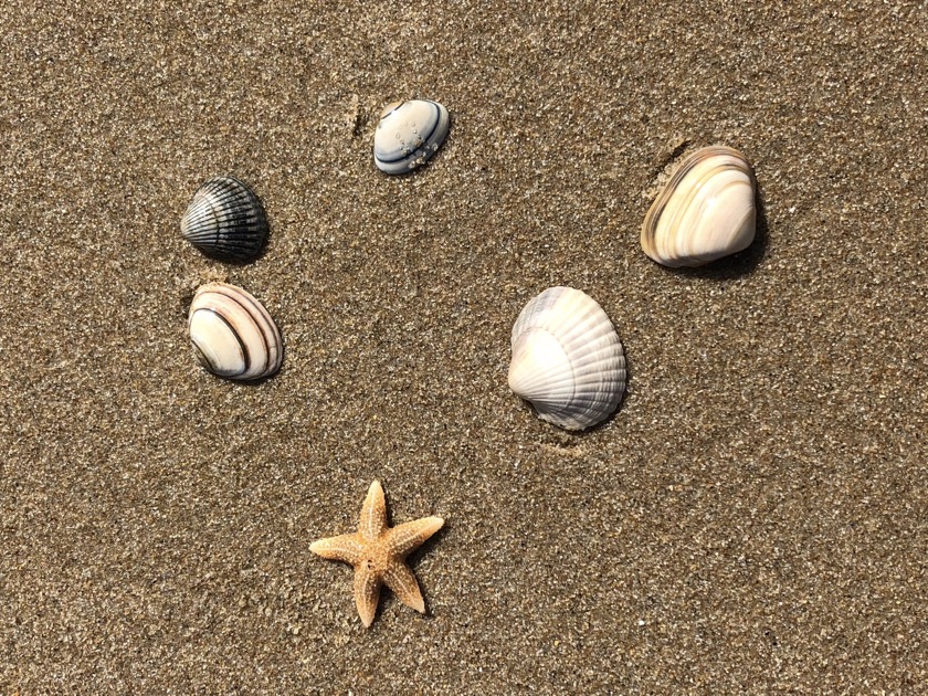 Pur Natur am Strand